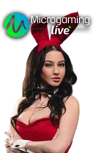 Micro Gaming Live Casino dengan Dealer Profesional
